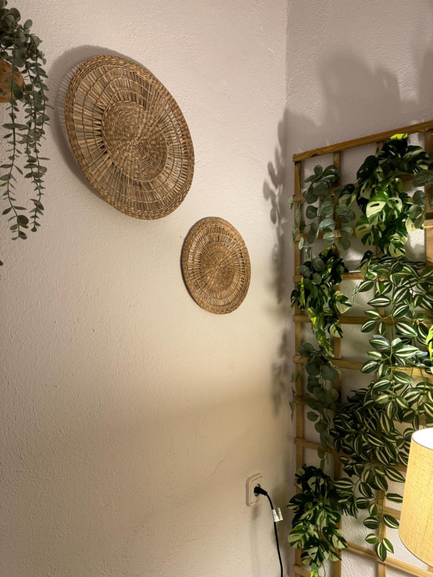 Garden Suites Xativa Casa Rural Eksteriør billede